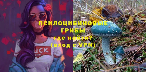 эйфоретик Алексеевка