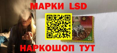 индика Можга