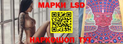 индика Можга