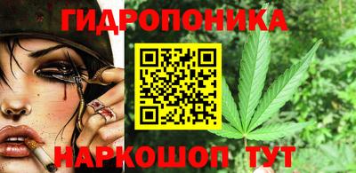 индика Можга