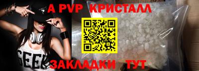 индика Можга