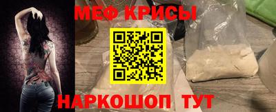 индика Можга