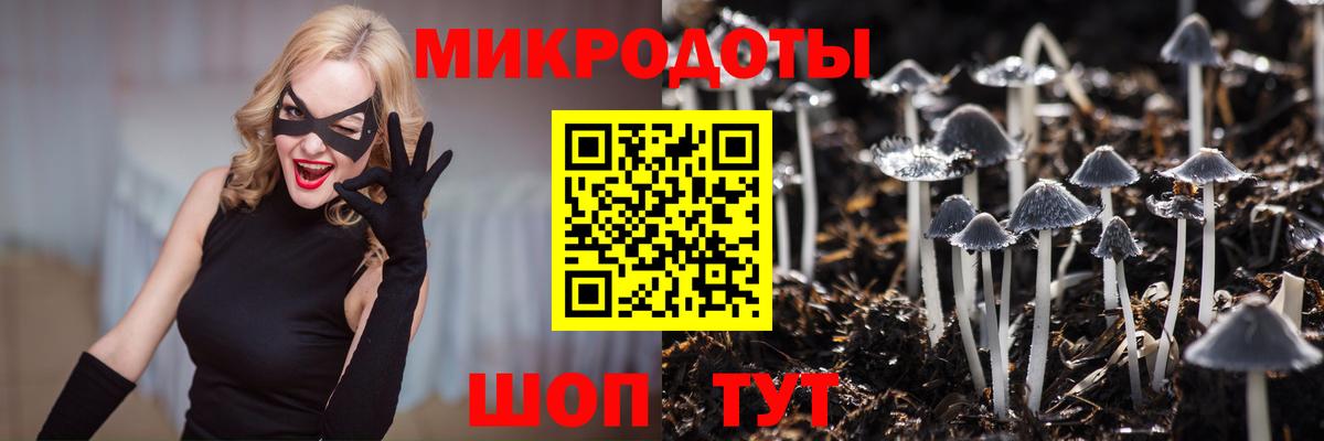 Галлюциногенные грибы Cubensis Кириши
